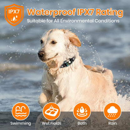 Smart Dog Training Collar
