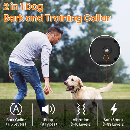 Smart Dog Training Collar