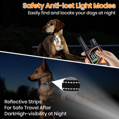 Smart Dog Training Collar