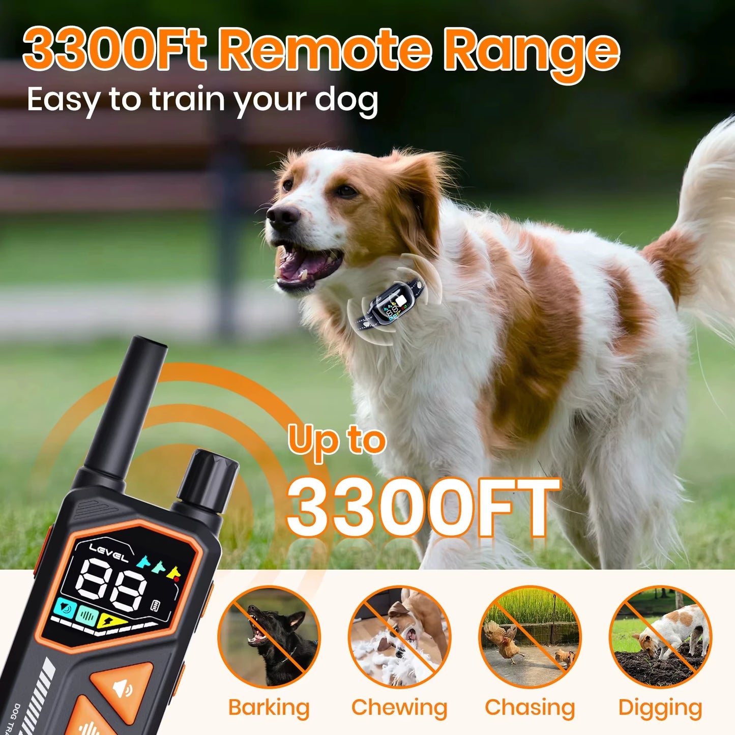 Smart Dog Training Collar