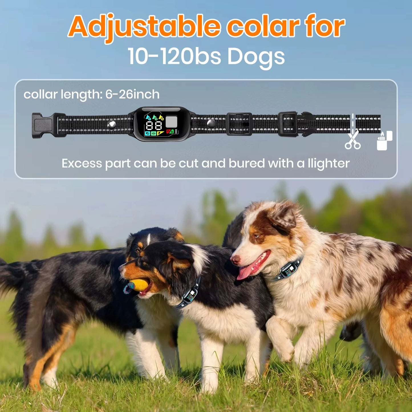 Smart Dog Training Collar
