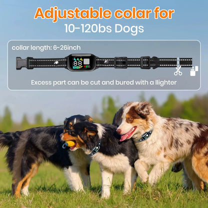 Smart Dog Training Collar
