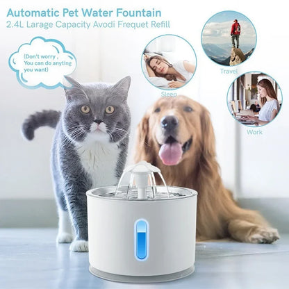 Stainless Steel Pet Water Fountain