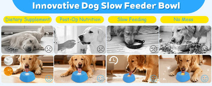 Slow Feeder Dog Bowl
