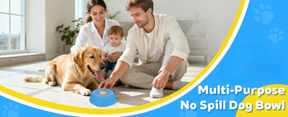 Slow Feeder Dog Bowl